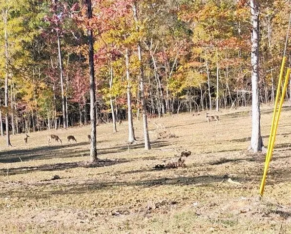a view of a yard covered in snow