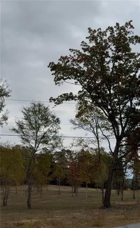 a view of a yard