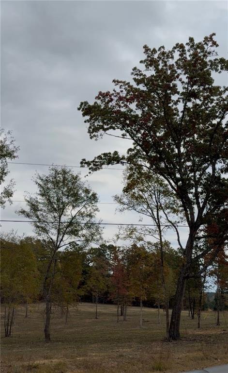 0 Melson Road Southwest Cave Spring, GA 30124 - Photo 4 of 4 a view of a yard