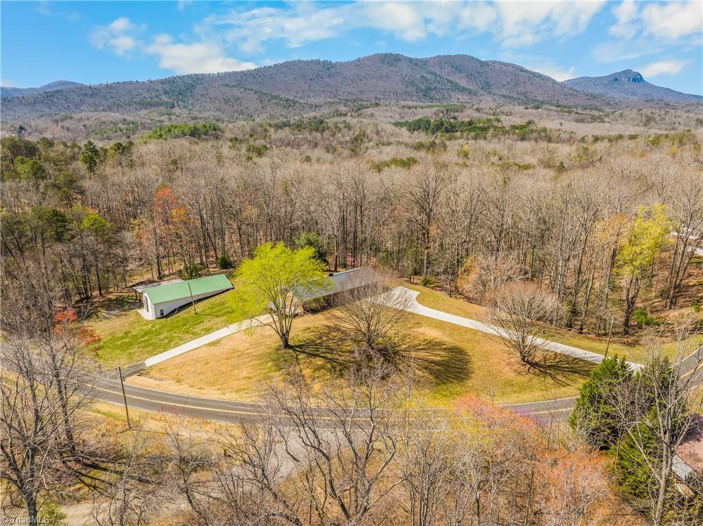 435 Seven Island Road Danbury, NC 27016 - Photo 2 of 44