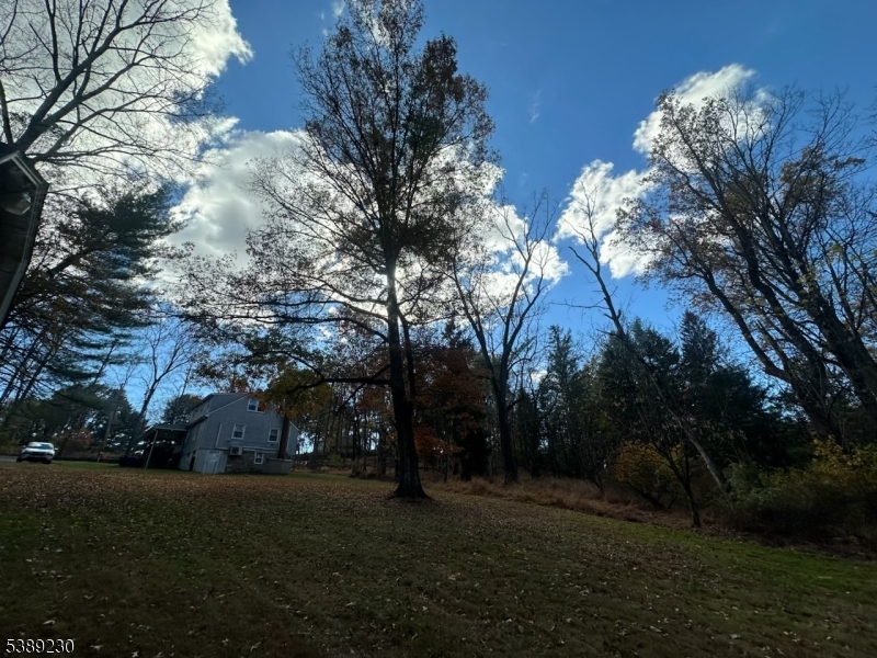 50 Jericho Road High Bridge, NJ 08829 - Photo 6 of 23 a view of a park with large trees