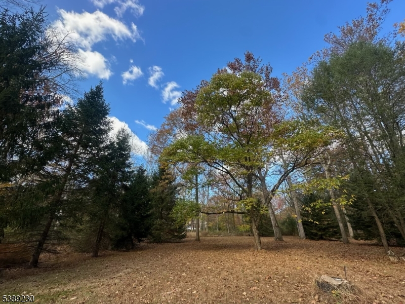 50 Jericho Road High Bridge, NJ 08829 - Photo 7 of 23 a view of backyard with green space