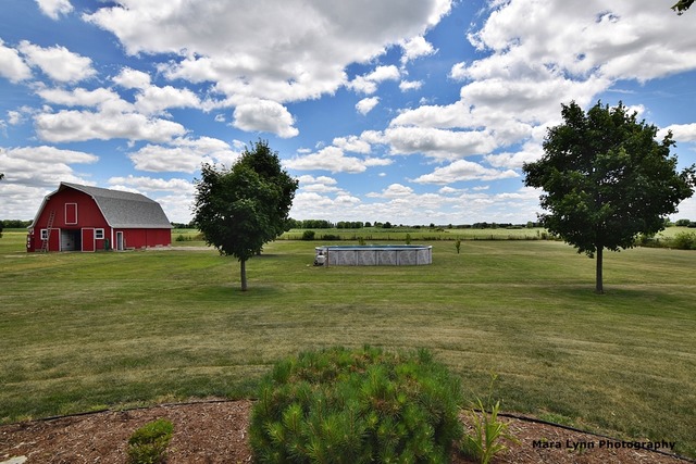 42-w629 McDonald Road Elgin, IL 60124 - Photo 3 of 25
