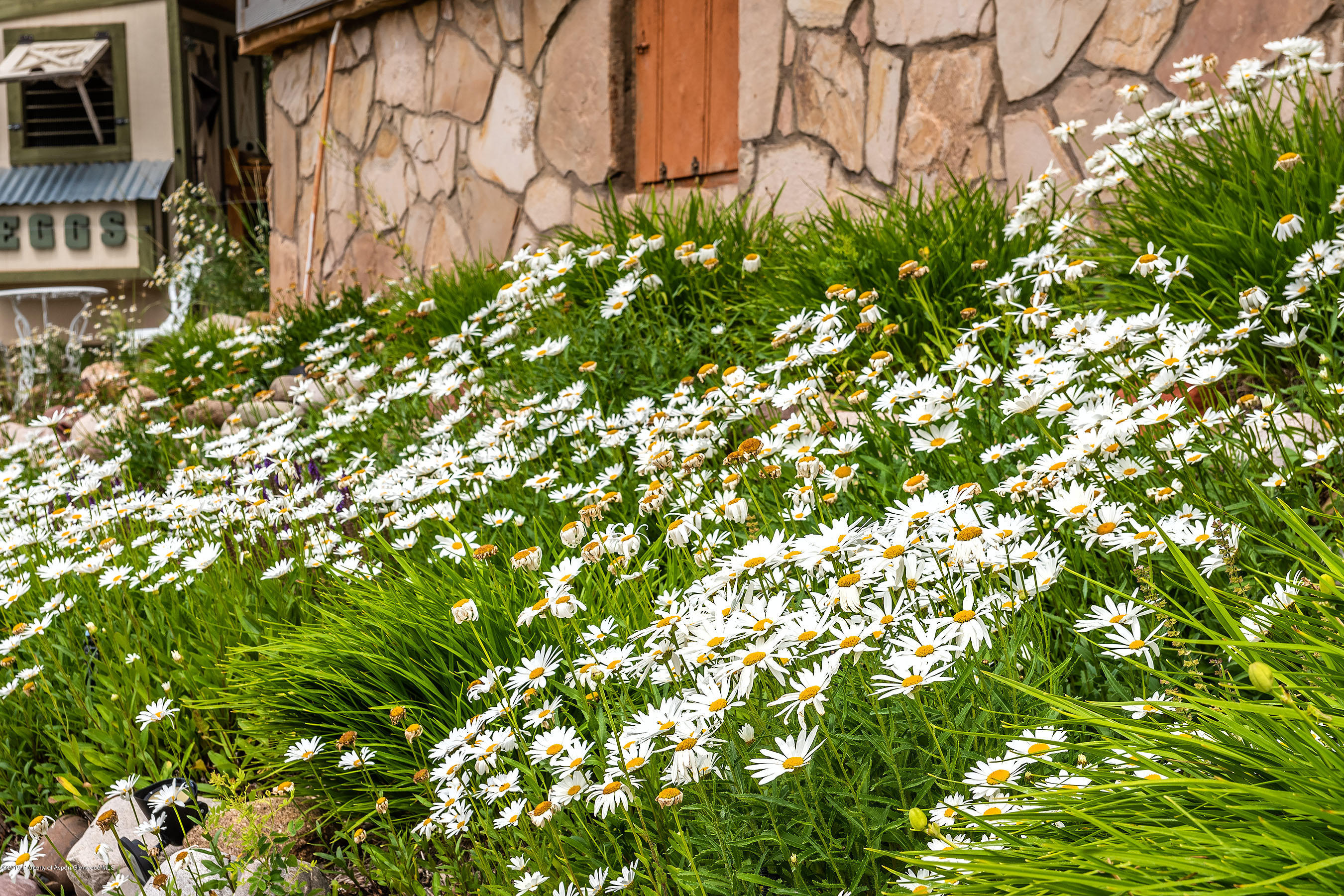 780 7 Oaks Road Carbondale, CO 81623 - Photo 29 of 29 780SevenOaks_DASH203
