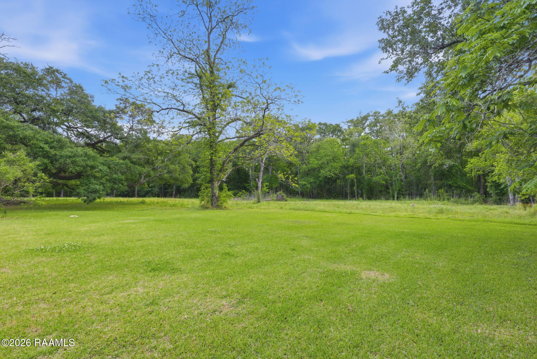 402 Fruge Street Mermentau, LA 70556 - Photo 11 of 12 12-web-or-mls-HC6A8460