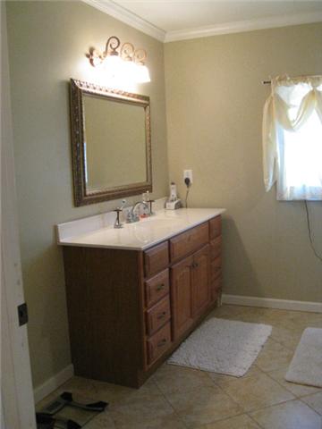 10025 Edwards Branch Road Primm Springs, TN 38476 - Photo 14 of 20 Master bathroom