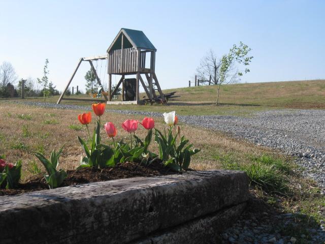 10025 Edwards Branch Road Primm Springs, TN 38476 - Photo 18 of 20 The views on this property are breath-taking