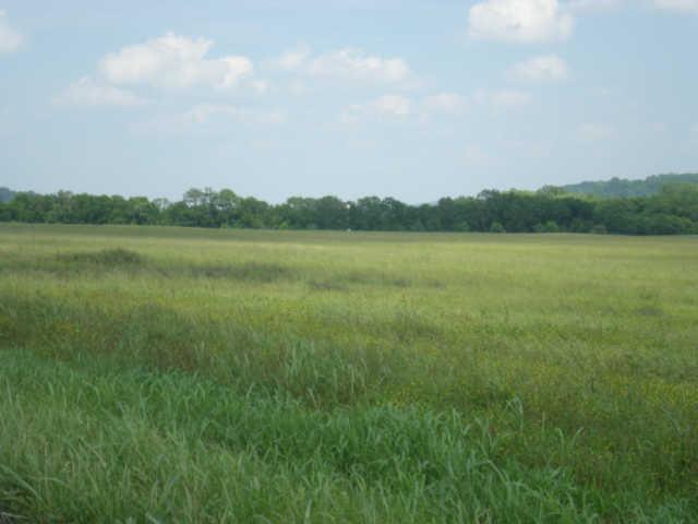 10025 Edwards Branch Road Primm Springs, TN 38476 - Photo 3 of 20 Located in the beautiful Primm Springs countryside
