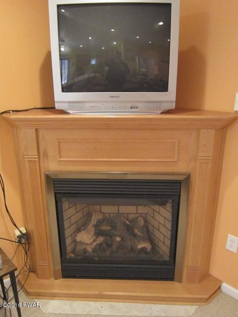 203 Westcolang Road Lackawaxen, PA 18435 - Photo 7 of 15 a living room with a fireplace and a potted plant