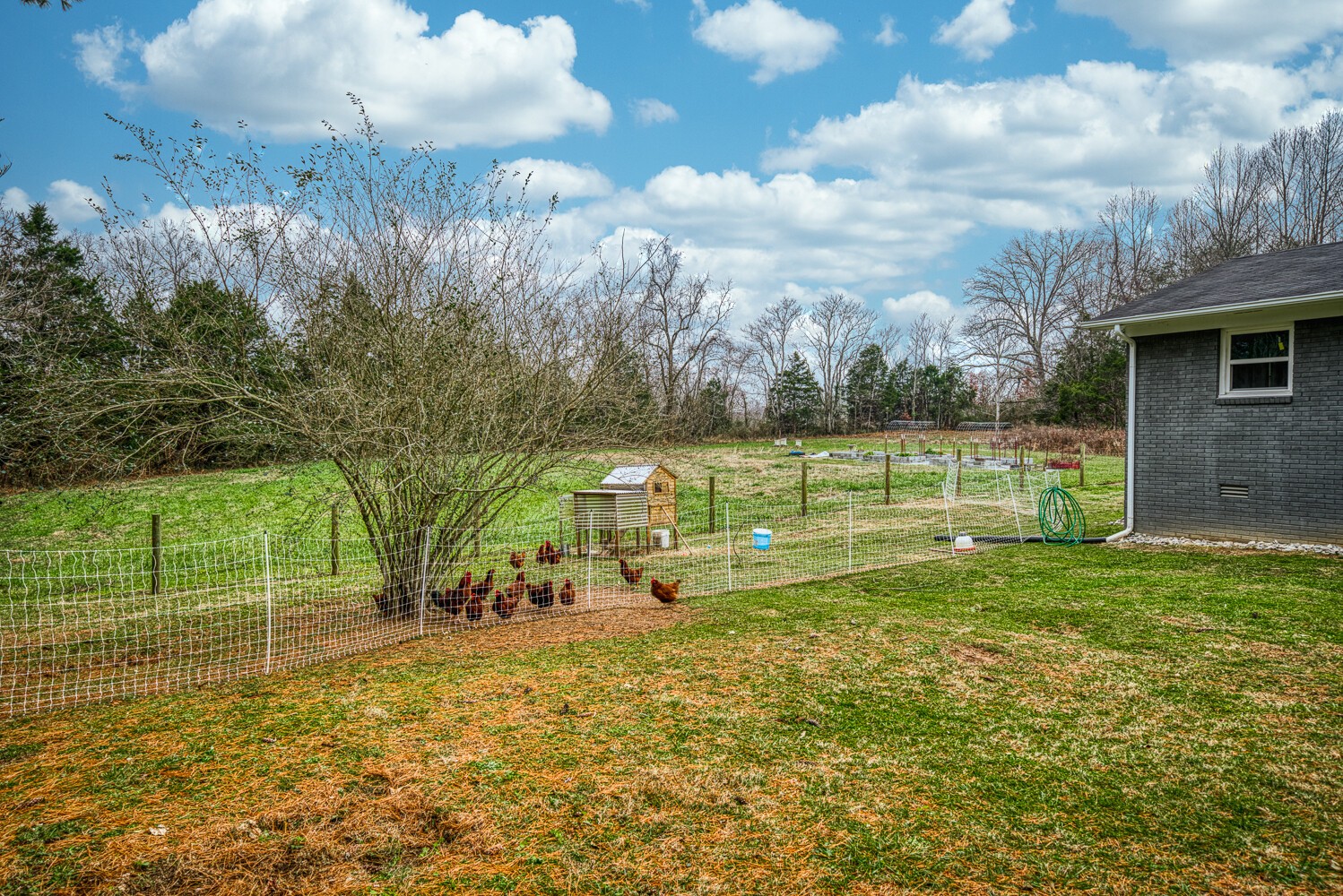 230 Onward Road Quebeck, TN 38579 - Photo 22 of 29 Gallery Image 22