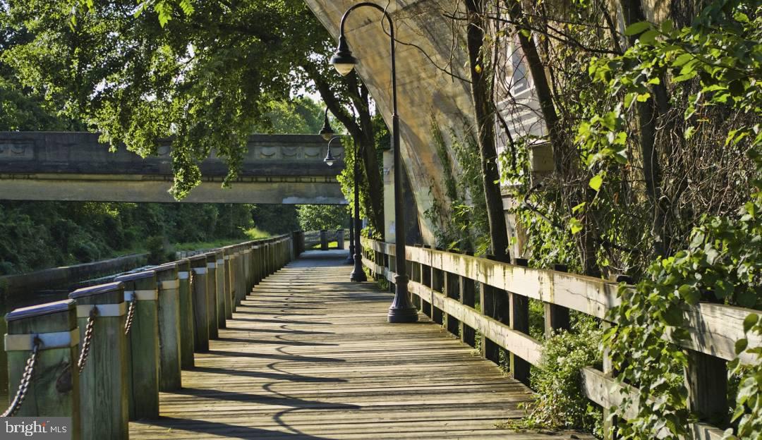 151 Levering Street Philadelphia, PA 19127 - Photo 52 of 52