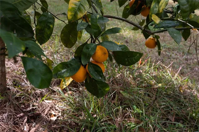 $897,000 | 3897 Pinemount Road, Lake City, FL 32024