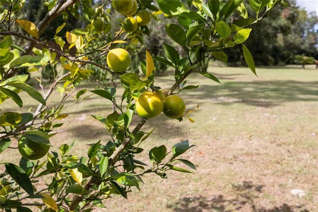 $897,000 | 3897 Pinemount Road, Lake City, FL 32024