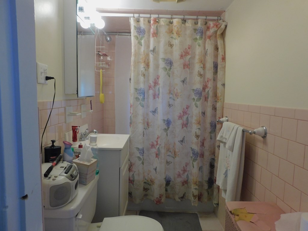 145 Lagrange Street Boston, MA 02132 - Photo 25 of 37 a bathroom with a sink a toilet and shower curtain
