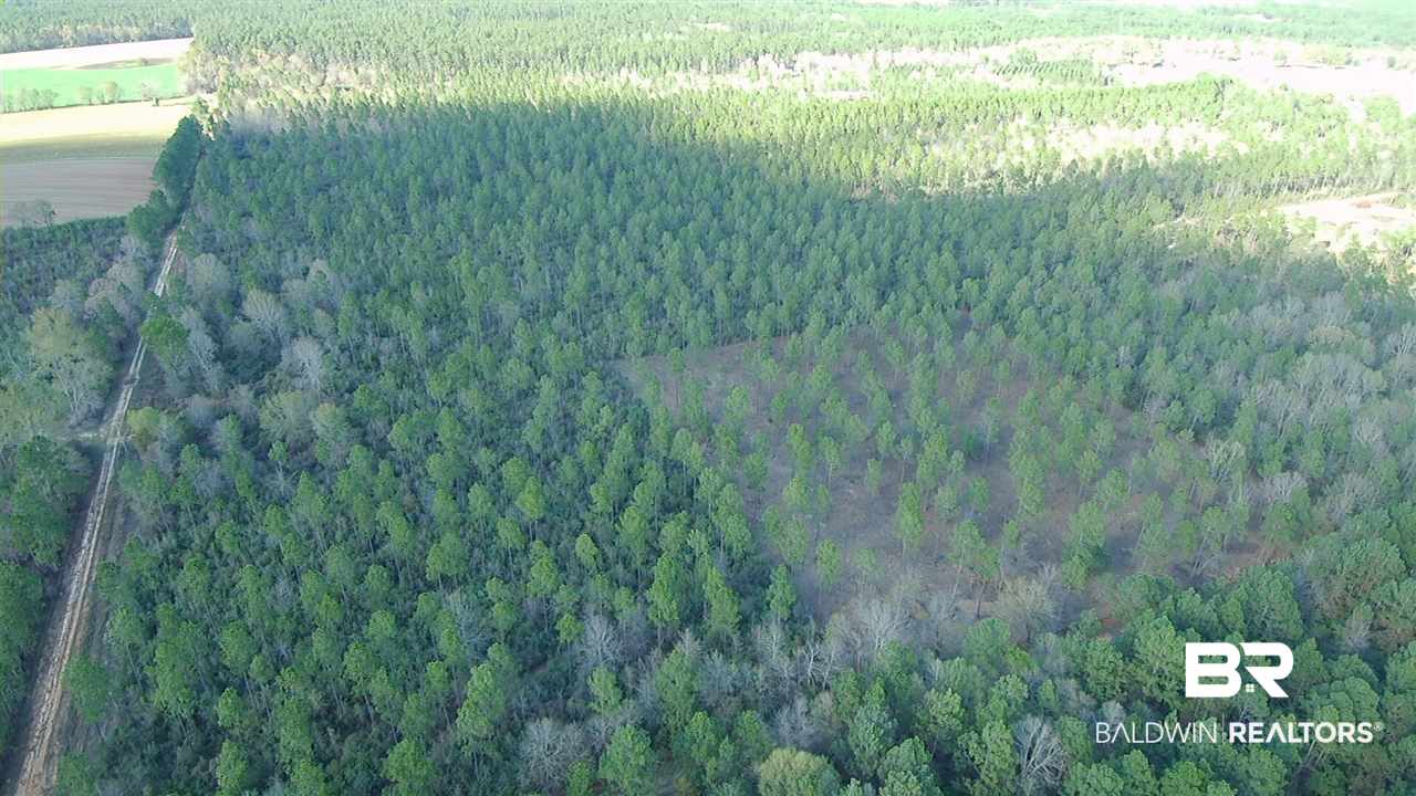 3 Red Cloud Road Baker, FL 32531 - Photo 2 of 14