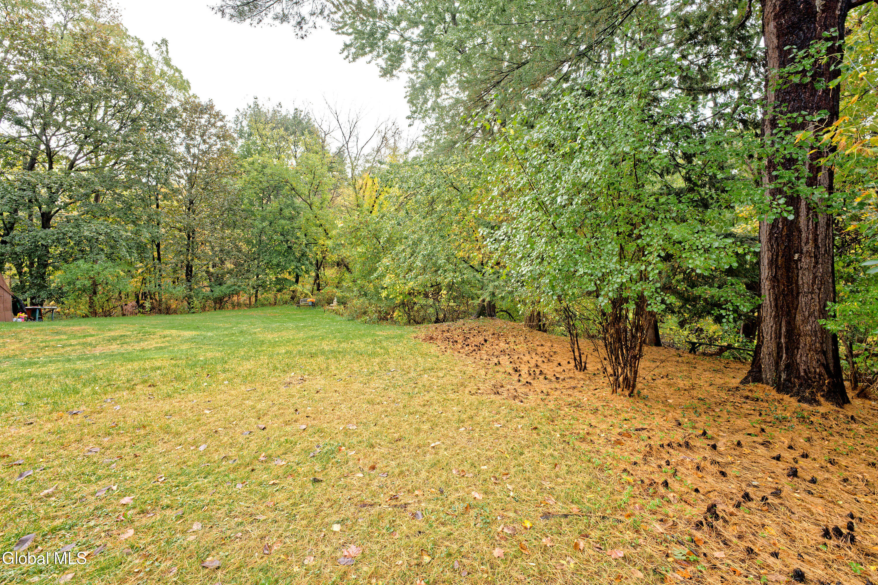 11 Victoria Avenue Brunswick, NY 12180 - Photo 34 of 43 Yard 3