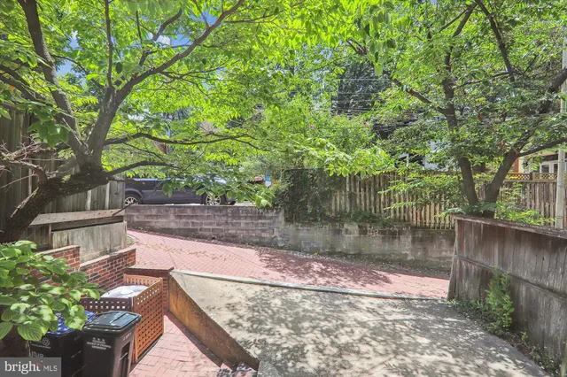 a view of a yard with plants and a large tree