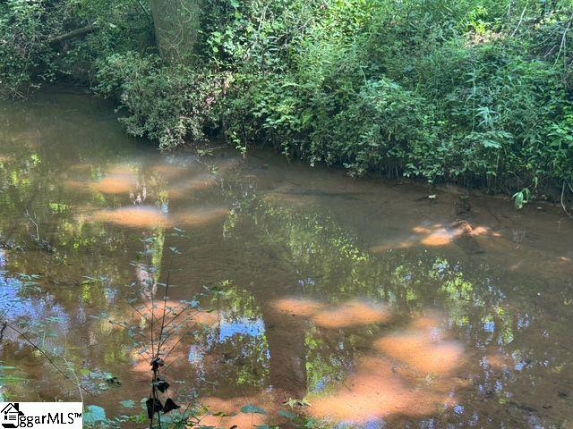 Shoals Road Duncan, SC 29334 - Photo 11 of 21