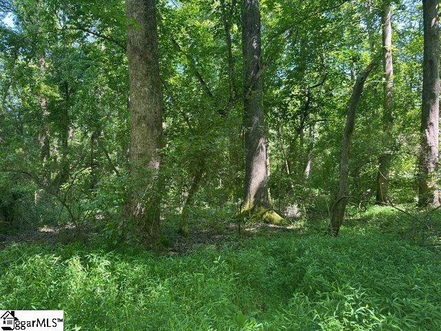 Shoals Road Duncan, SC 29334 - Photo 12 of 21