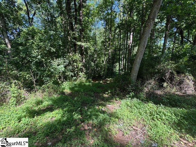 Shoals Road Duncan, SC 29334 - Photo 13 of 21