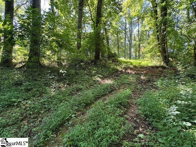 Shoals Road Duncan, SC 29334 - Photo 14 of 21