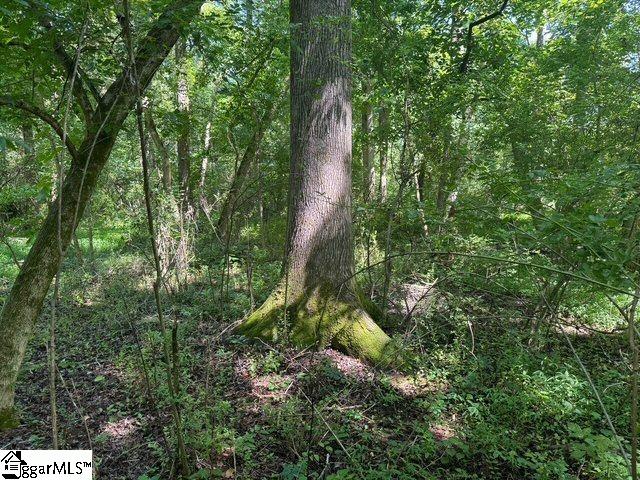 Shoals Road Duncan, SC 29334 - Photo 2 of 21