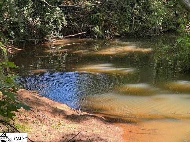 Shoals Road Duncan, SC 29334 - Photo 3 of 21