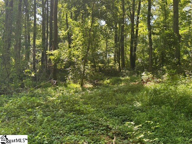 Shoals Road Duncan, SC 29334 - Photo 4 of 21