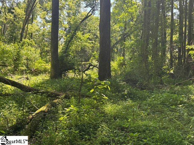 Shoals Road Duncan, SC 29334 - Photo 5 of 21