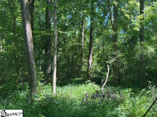 Shoals Road Duncan, SC 29334 - Photo 6 of 21