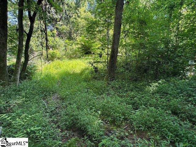 Shoals Road Duncan, SC 29334 - Photo 7 of 21