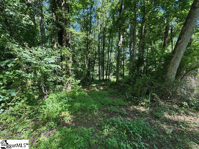 Shoals Road Duncan, SC 29334 - Photo 8 of 21