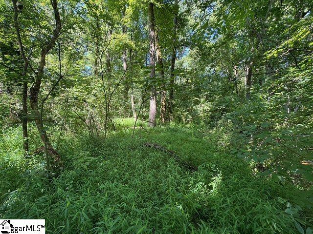 Shoals Road Duncan, SC 29334 - Photo 10 of 21