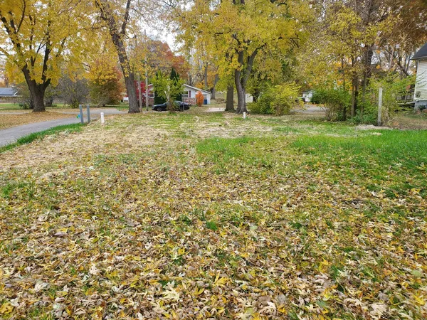 a view of a yard with a trees