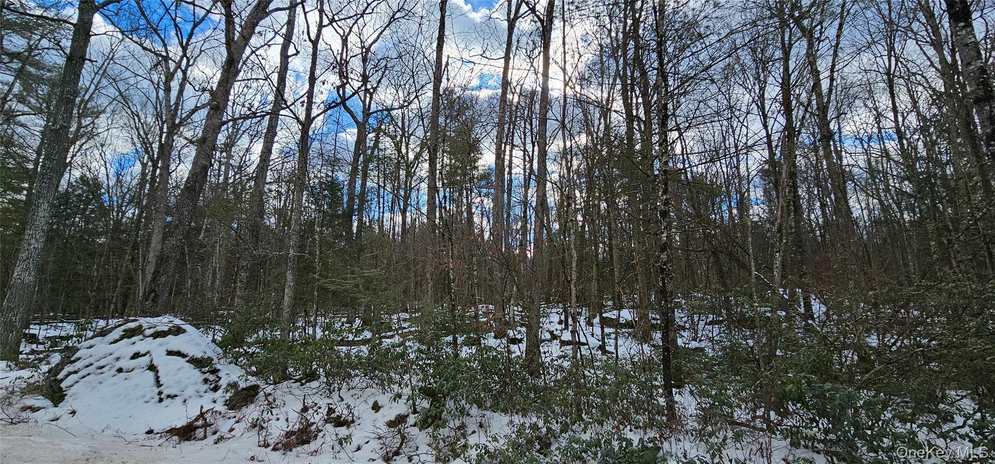 Lot 82 Perry Pond Road Narrowsburg, NY 12764 - Photo 1 of 18 a view of outdoor space with green space