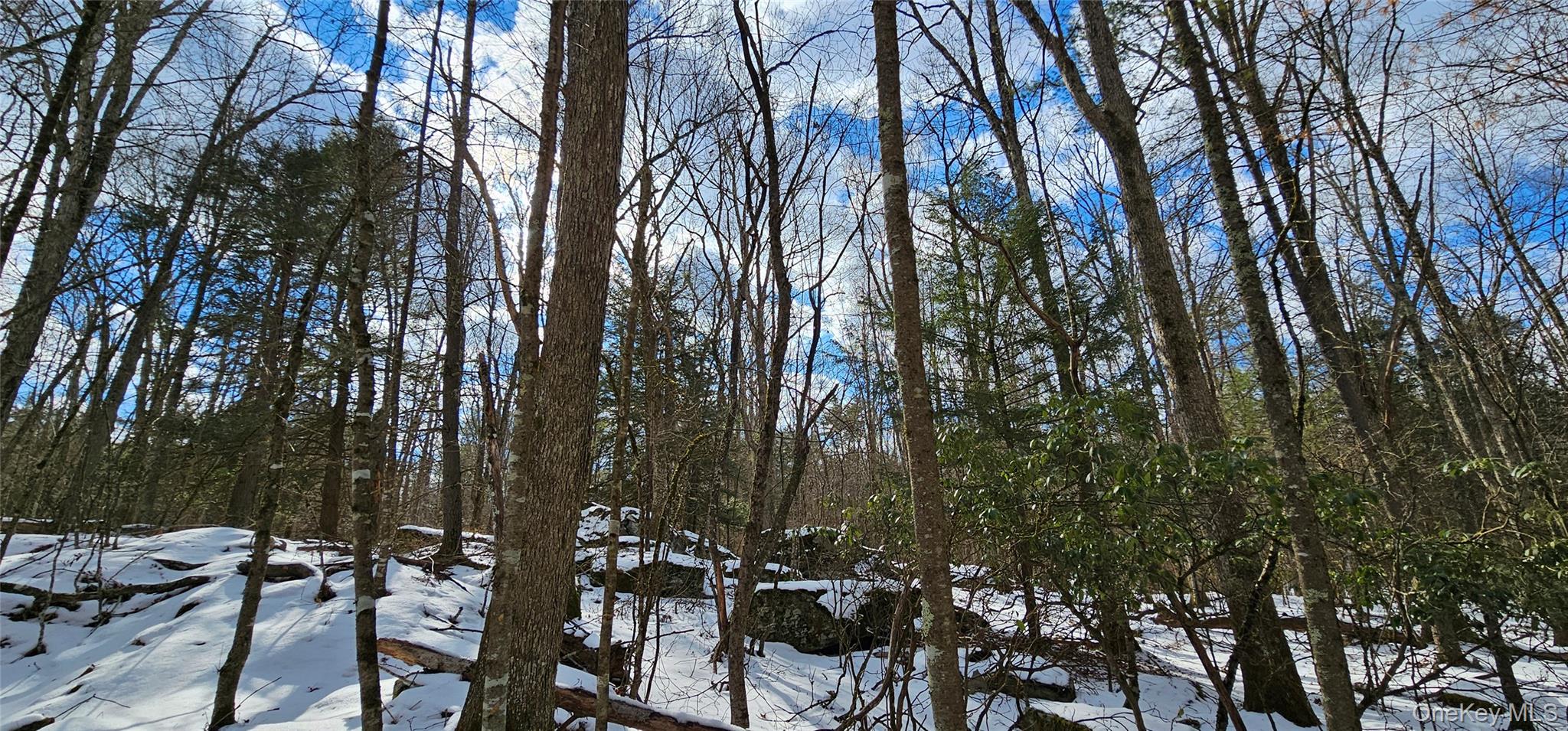 Lot 82 Perry Pond Road Narrowsburg, NY 12764 - Photo 11 of 18 a view of outdoor space and yard