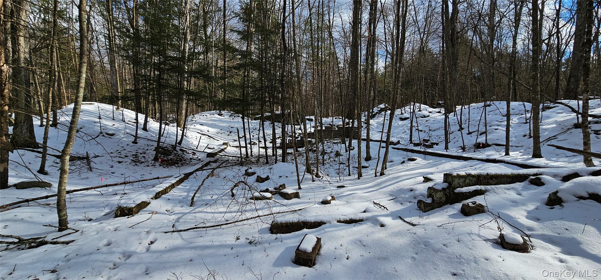 Lot 82 Perry Pond Road Narrowsburg, NY 12764 - Photo 12 of 18 a view of outdoor space with seating area