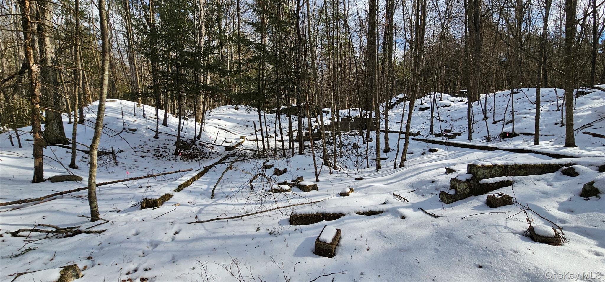 Lot 82 Perry Pond Road Narrowsburg, NY 12764 - Photo 13 of 18 a view of a backyard with sitting area