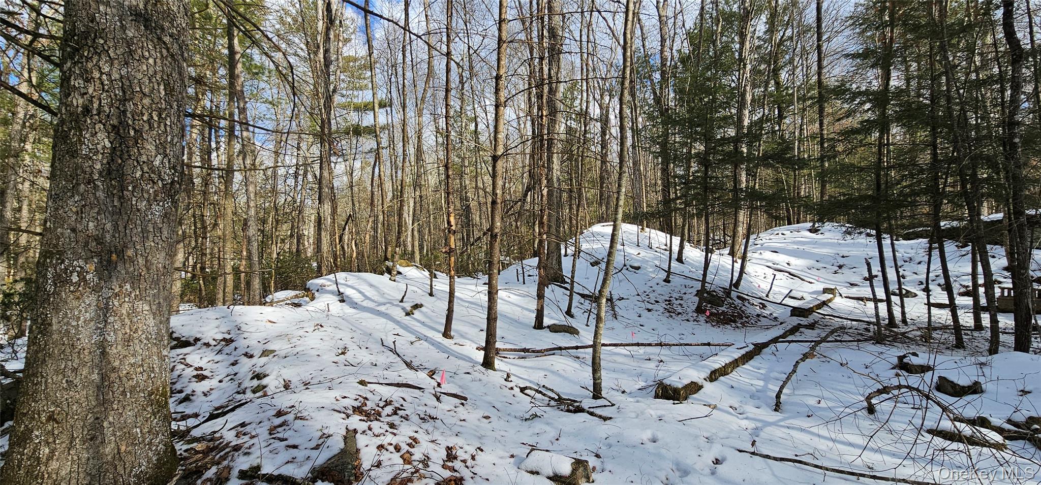 Lot 82 Perry Pond Road Narrowsburg, NY 12764 - Photo 14 of 18 a view of outdoor space with seating