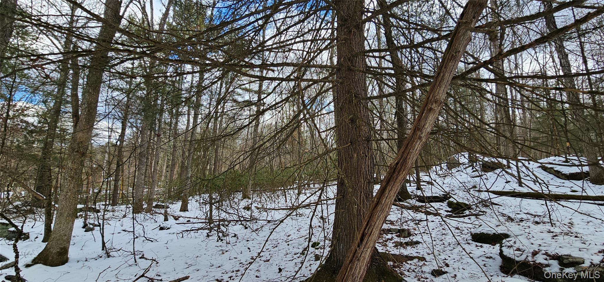 Lot 82 Perry Pond Road Narrowsburg, NY 12764 - Photo 15 of 18 a view of a backyard of the house
