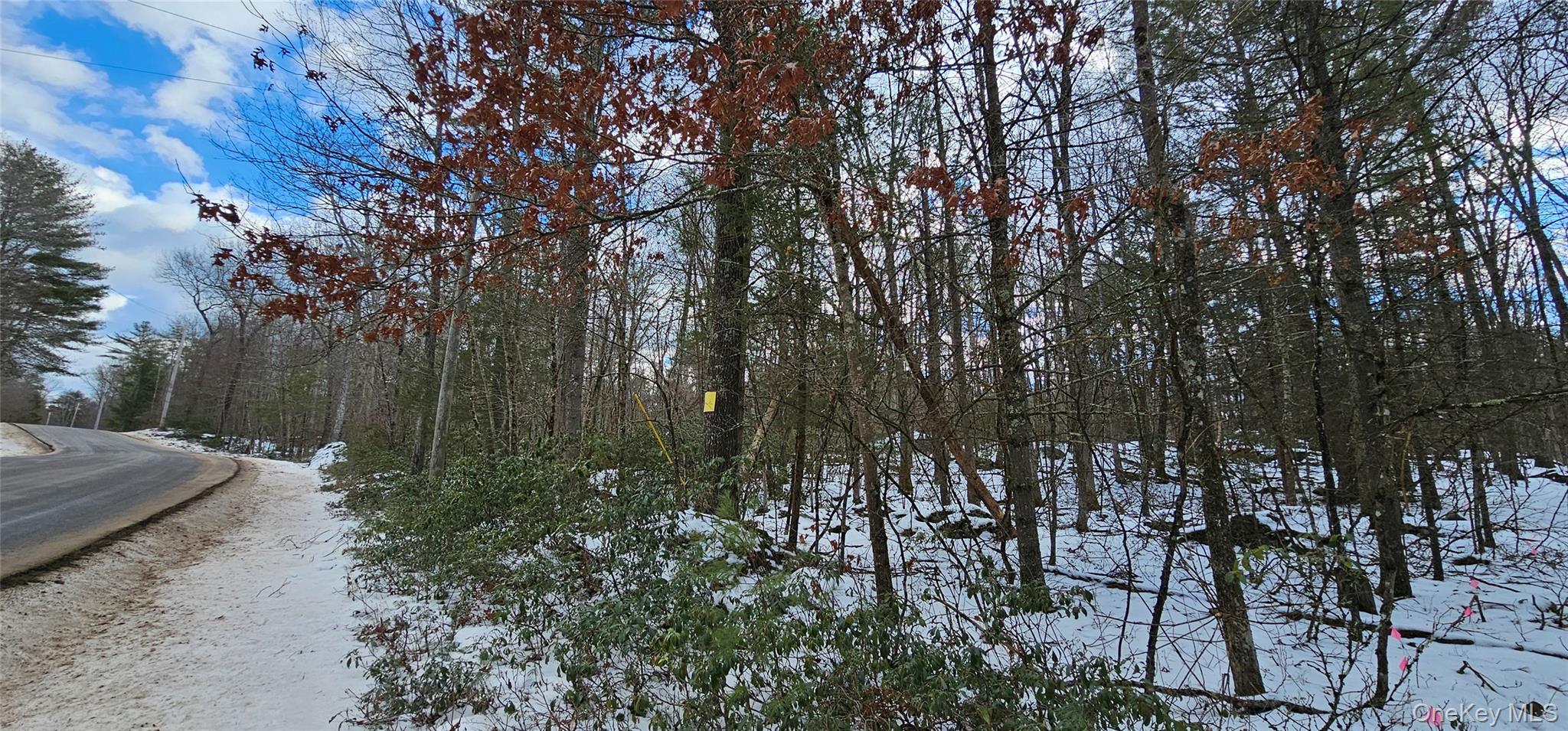 Lot 82 Perry Pond Road Narrowsburg, NY 12764 - Photo 16 of 18 a view of outdoor space and trees all around