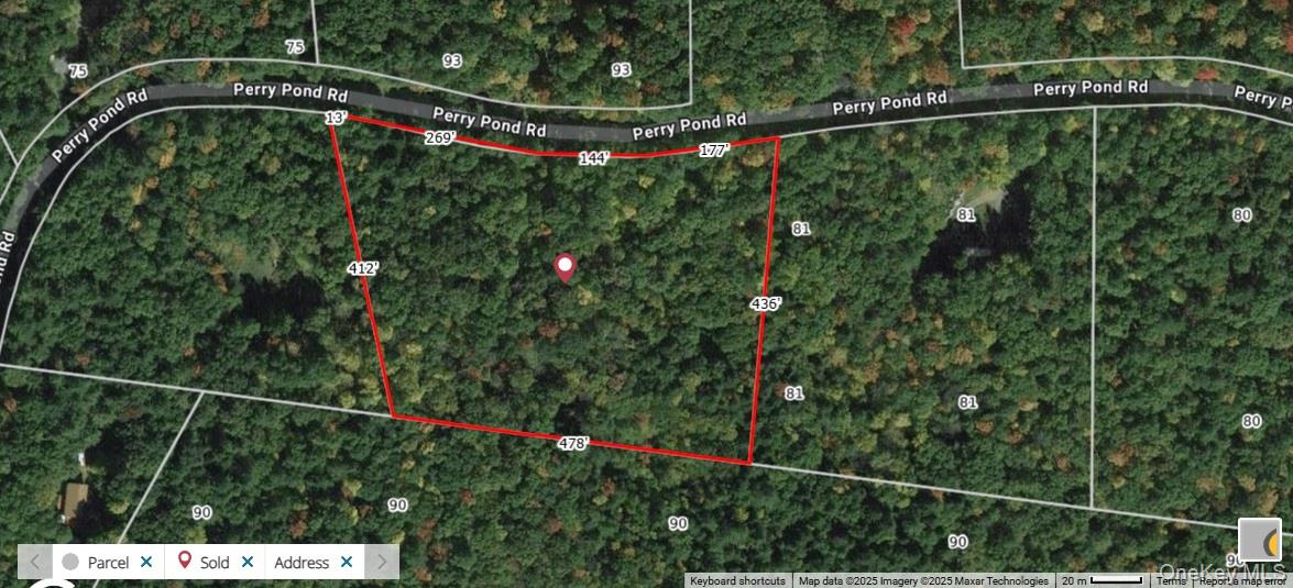 Lot 82 Perry Pond Road Narrowsburg, NY 12764 - Photo 18 of 18 a view of a yard