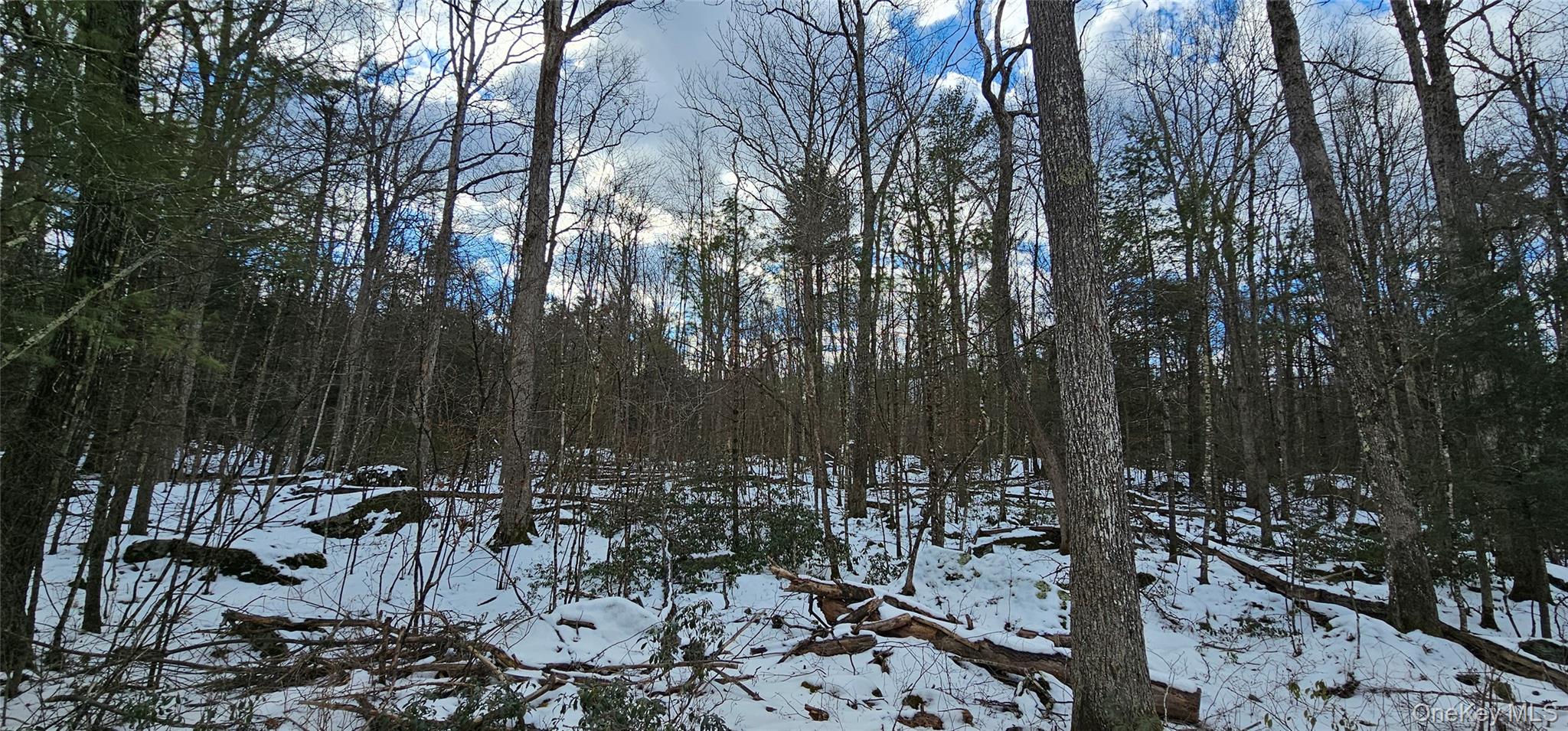 Lot 82 Perry Pond Road Narrowsburg, NY 12764 - Photo 2 of 18 a view of outdoor space with sitting area