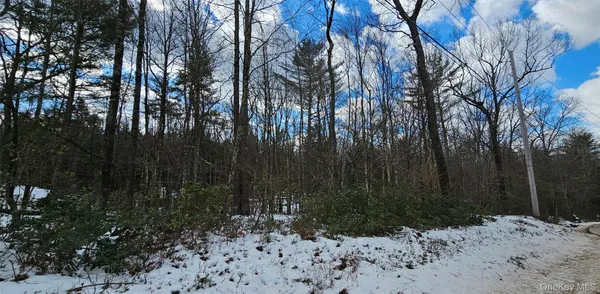 a view of a covered with snow in the background