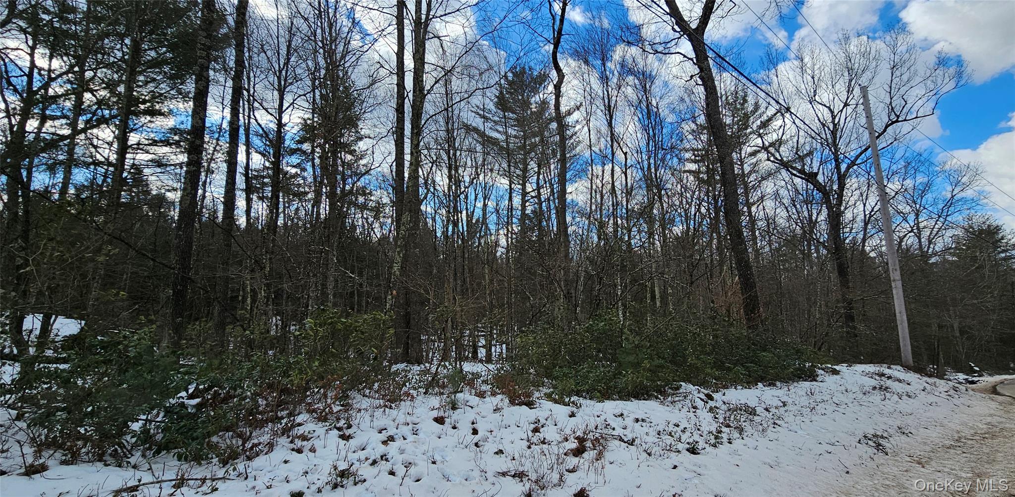 Lot 82 Perry Pond Road Narrowsburg, NY 12764 - Photo 3 of 18 a view of a covered with snow in the background