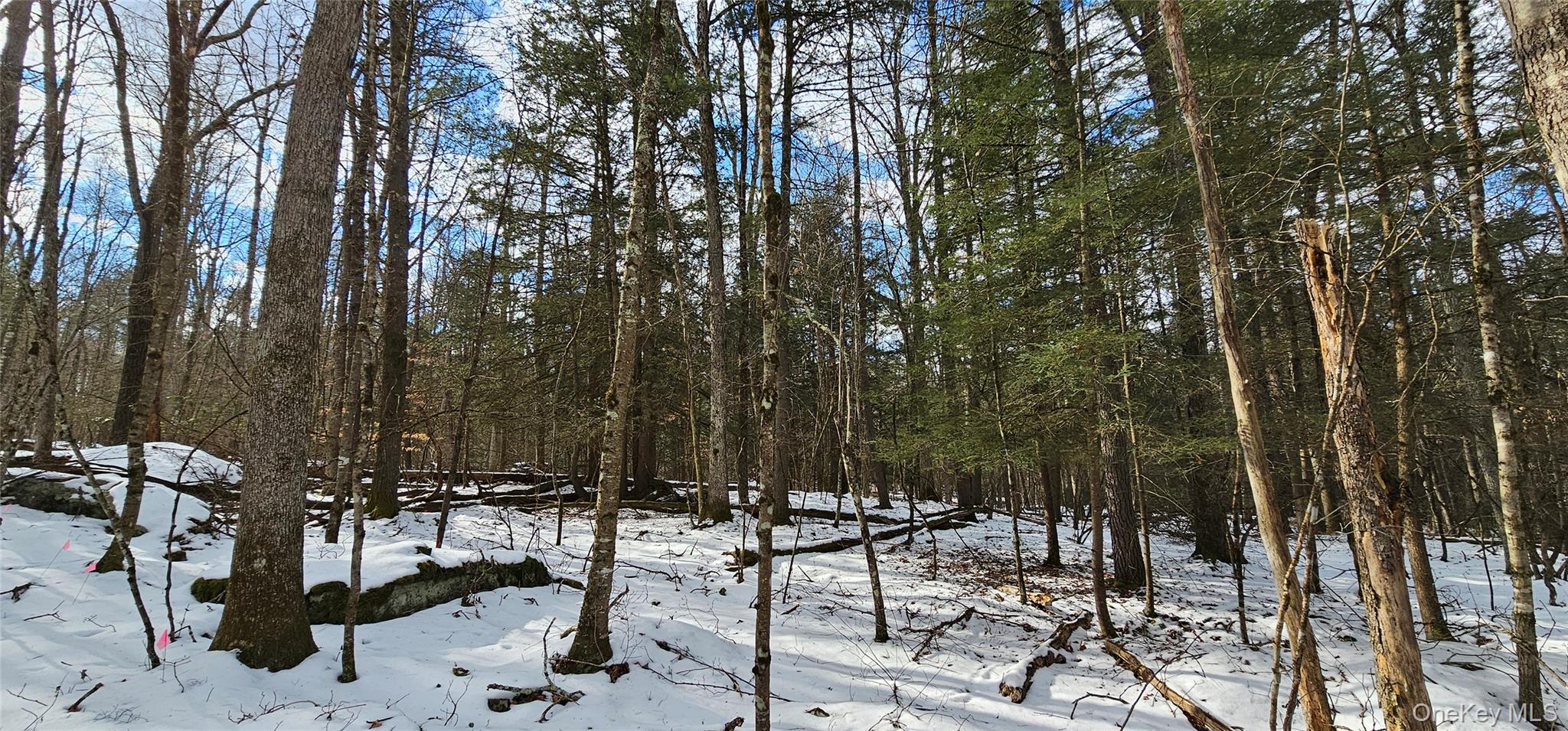 Lot 82 Perry Pond Road Narrowsburg, NY 12764 - Photo 5 of 18 a view of outdoor space with seating area