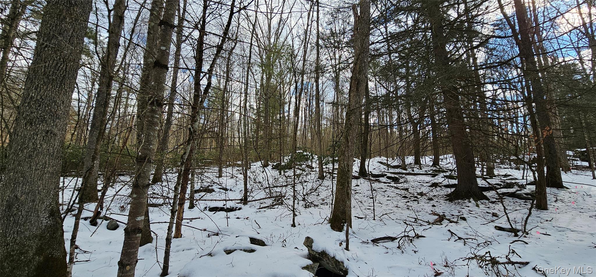 Lot 82 Perry Pond Road Narrowsburg, NY 12764 - Photo 6 of 18 a view of outdoor space with chairs