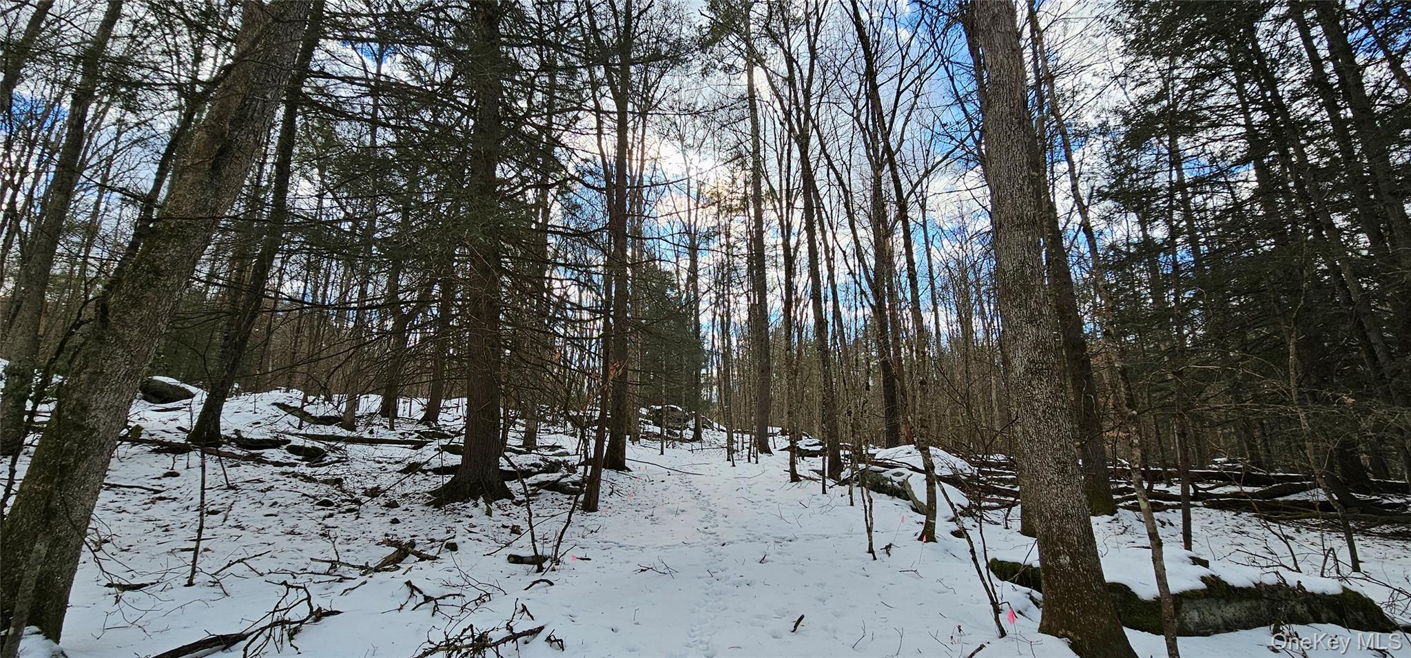 Lot 82 Perry Pond Road Narrowsburg, NY 12764 - Photo 7 of 18 a view of outdoor space with seating