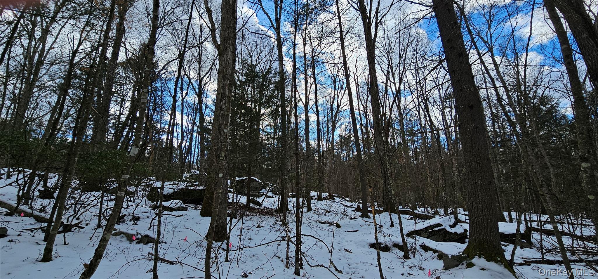 Lot 82 Perry Pond Road Narrowsburg, NY 12764 - Photo 8 of 18 a view of a chairs and table in the patio