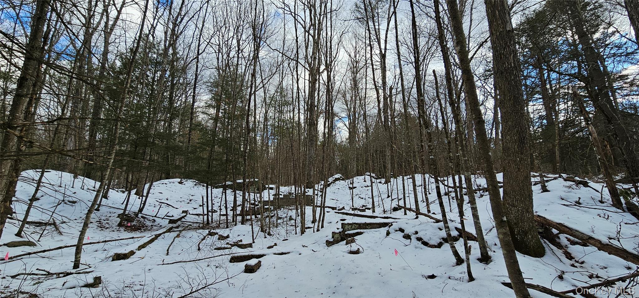 Lot 82 Perry Pond Road Narrowsburg, NY 12764 - Photo 9 of 18 a view of outdoor space with seating area and trees around